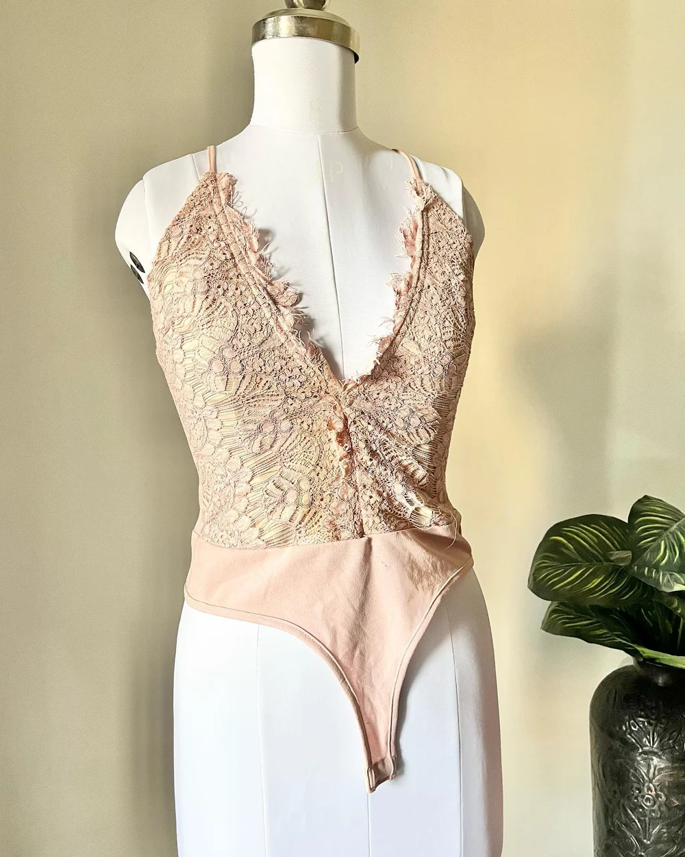 Deep v-neck lace bodysuit  thumbnail view 4